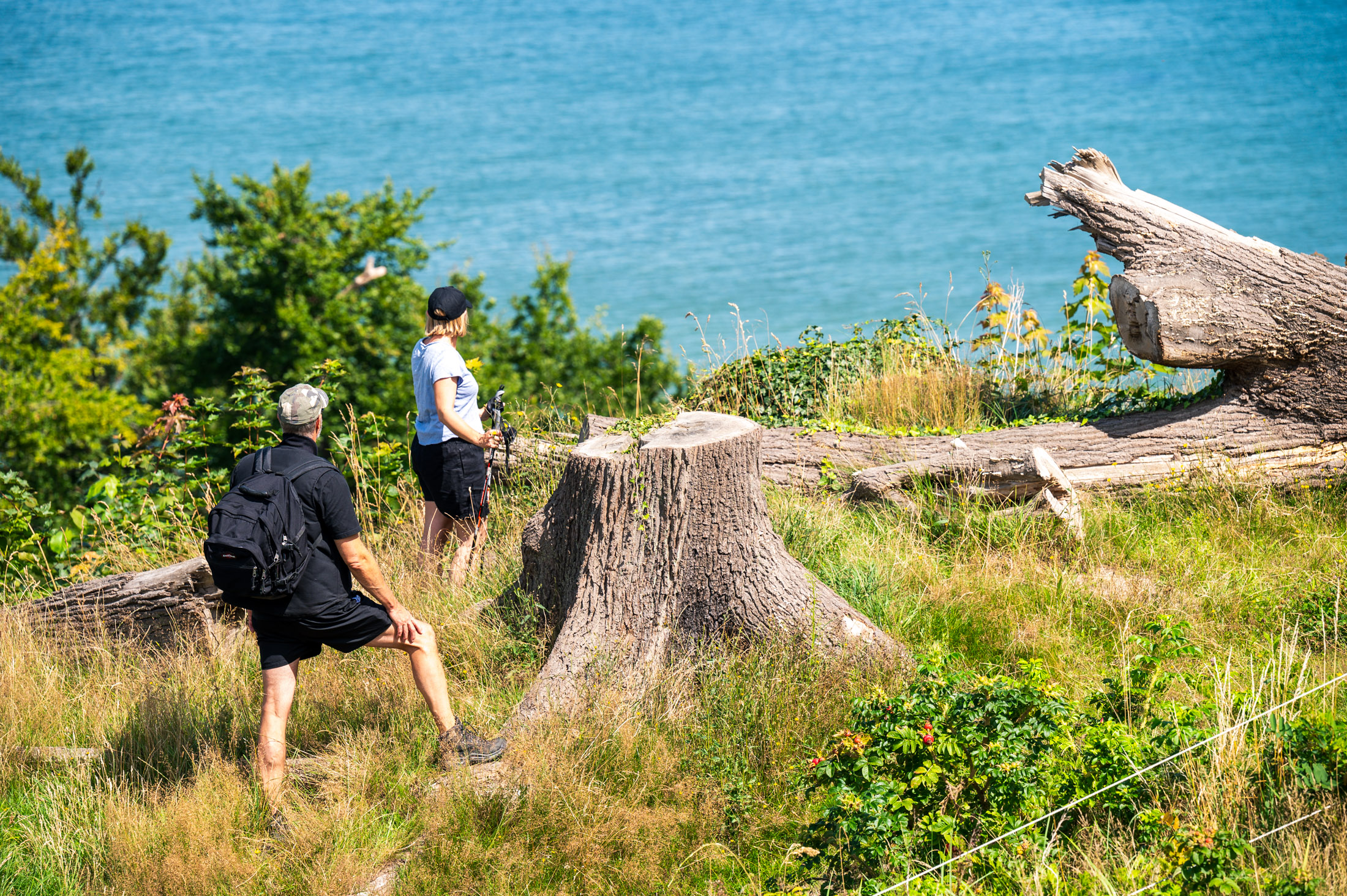 Wandern Rügen