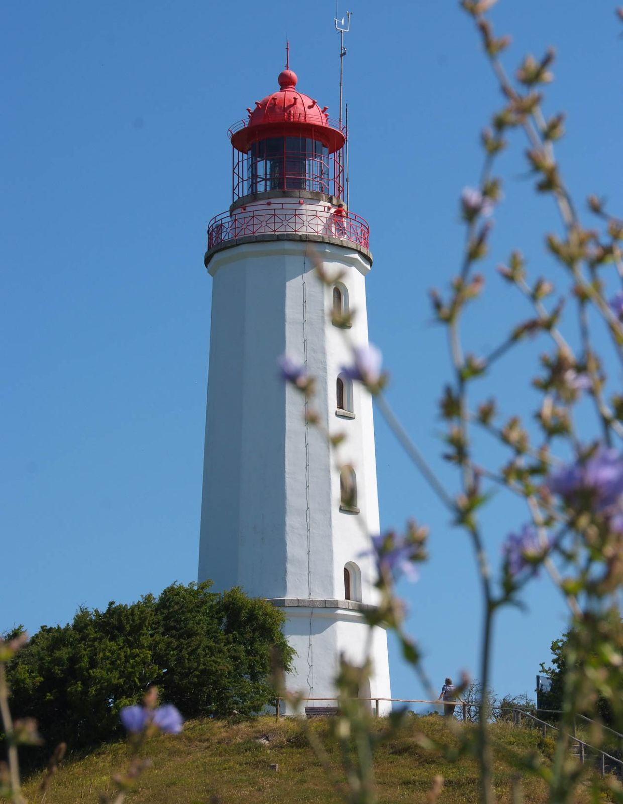Region erleben auf der Insel Rügen